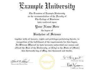 FAKE DIPLOMA TEMPLATE // D04