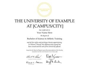 FAKE DIPLOMA TEMPLATE // D09
